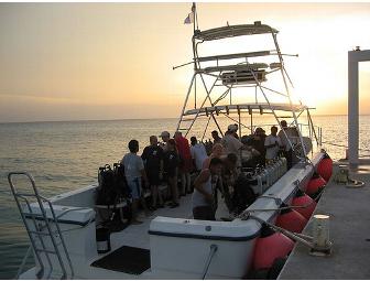 3 Days of 2 tank boat dives in Kailua-Kona, Hawaii