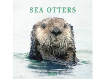 Dream Photography Shoot with famed Environmentalist Photographer Jay Ireland