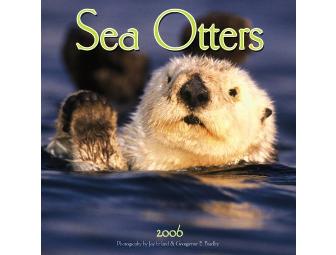 Dream Photography Shoot with famed Environmentalist Photographer Jay Ireland