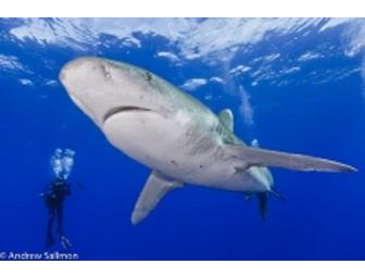 Underwater Photo Class with Andy Sallmon, 4-hours (1/2 day)