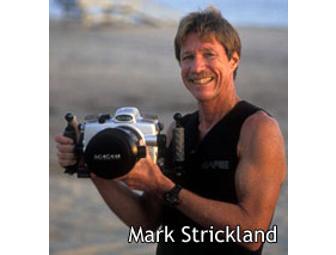 Take an engaging Photography Lesson with avid marine naturalist, Mark Strickland