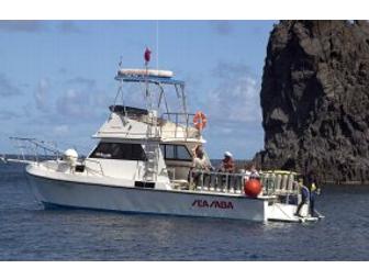 Indulge Your Passion - SCUBA Package - Saba, Dutch Caribbean,  4 days, 3 nights (1 spot)