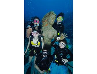 Half Day Photo Seminar with Award Winning Cathy Church