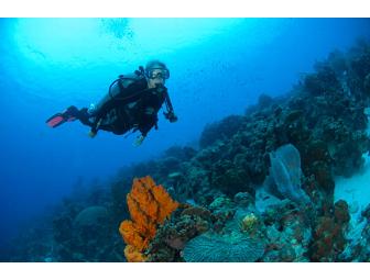 4 Night SCUBA Getaway for 2 - Bonaire Divi Flamingo Beach Resort & Casino