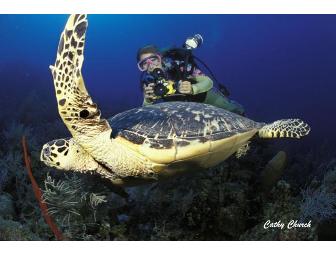 5 day, 4 night Cayman Island Dive Resort and SCUBA Package for 2 people.