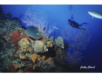 5 day, 4 night Cayman Island Dive Resort and SCUBA Package for 2 people.