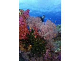 NAI'A Fiji- luxury live-aboard. You Choose Dates in 2013 Subject to Availability (1 space)