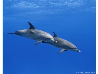 Half Day Photo Seminar with Award Winning Cathy Church