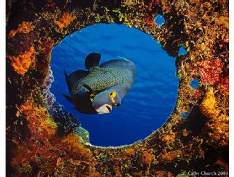 Half Day Photo Seminar with Award Winning Cathy Church