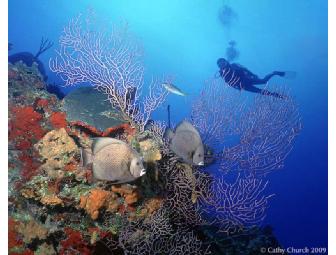 Half Day Photo Seminar with Award Winning Cathy Church