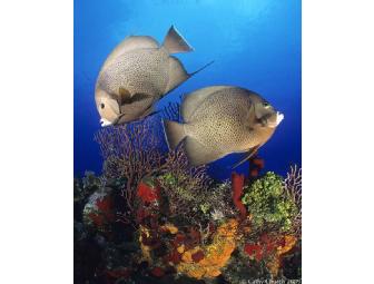 Half Day Photo Seminar with Award Winning Cathy Church