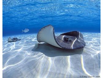 Half Day Photo Seminar with Award Winning Cathy Church