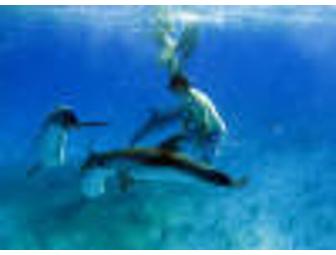 Bahamas Dive Adventure 7 day, 6 Night for Two Aboard 'The Juliet',  Apr 14-20 2012