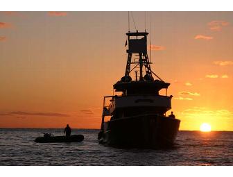 Socorro - Big Animal Central! SolmarV Live-Aboard (1 Space) Choose Date - Subject to Avail