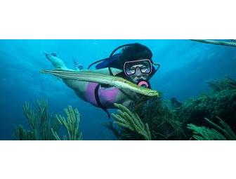 Bimini Big Game Club - Neal Watson's Dive Bimini - A Guy Harvey Outpost 2 nights/ 2 divers