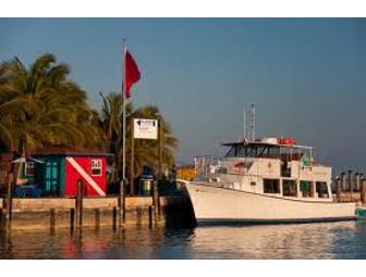 Bimini Big Game Club - Neal Watson's Dive Bimini - A Guy Harvey Outpost 2 nights/ 2 divers