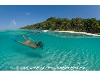 Take an engaging Photography Lesson with avid marine naturalist, Mark Strickland
