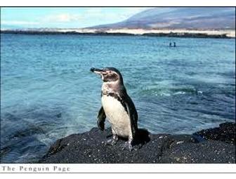 'Galapagos Sky' luxury live-aboard, (1 space) You Choose Dates - Subject to Availability