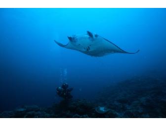 Fiji Diving and Luxury at Kadavu, Matava Resort, 8 day 7 nights (1 space)