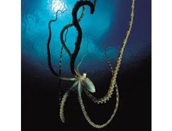 Minahasa Lagoon Luxury Resort, Indonesia (2 spaces) 5 days 4 nights