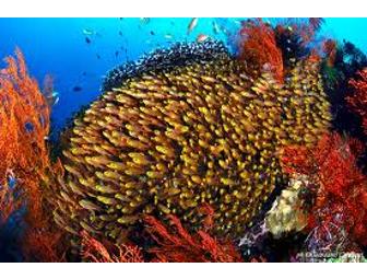 Minahasa Lagoon Luxury Resort, Indonesia (2 spaces) 5 days 4 nights