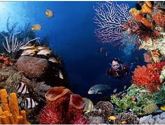 Twelve Days All Inclusive- Maldives Live-Aboard Sea Queen or Sea Spirit For 2 Divers