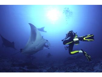 Twelve Days All Inclusive- Maldives Live-Aboard Sea Queen or Sea Spirit For 2 Divers