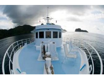 SCUBA Expedition to Cocos Island  -  Dec 13-23, 2011 (1 Spot)  Shark Central