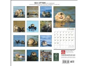 The Gift of Ocean Conservation - Priceless!