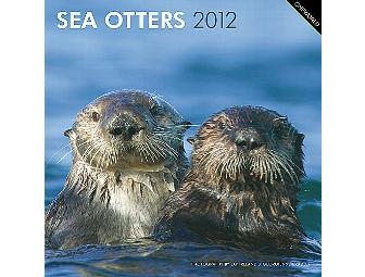 The Gift of Ocean Conservation - Priceless!