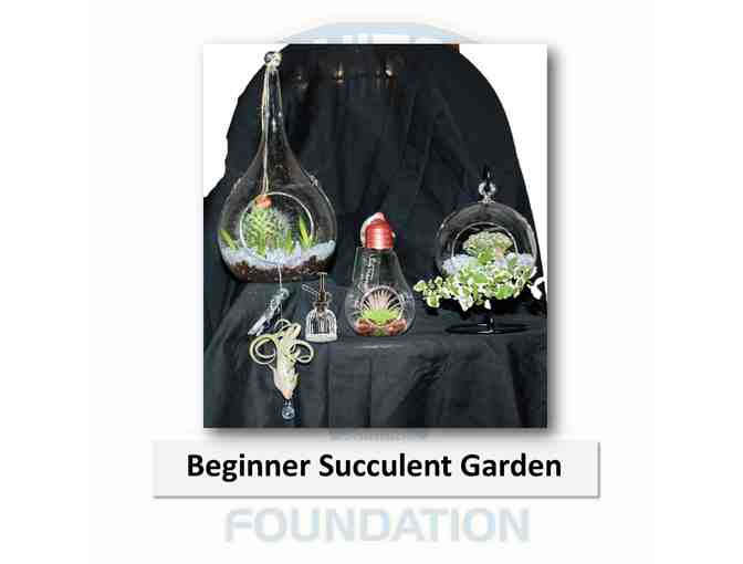 Beginner Succulent Garden - Photo 1