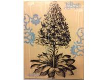 "Botanical Study" by Kito Mbiango