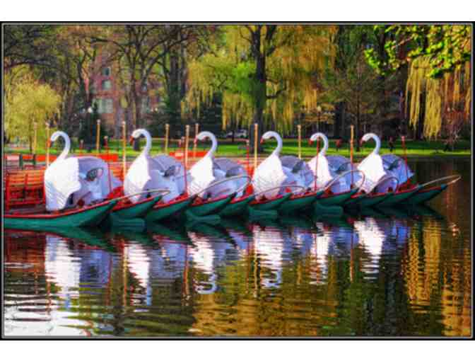 Family Fun in the City-Boston!