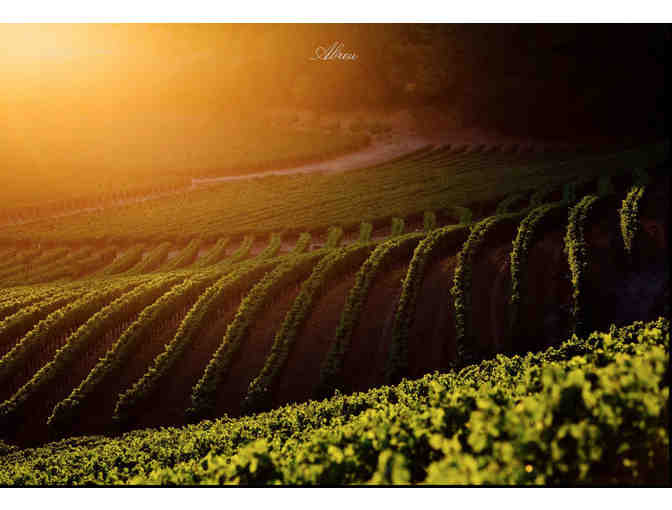 Exclusive Abreu Vineyards Wine Cave Tour-with Hotel!