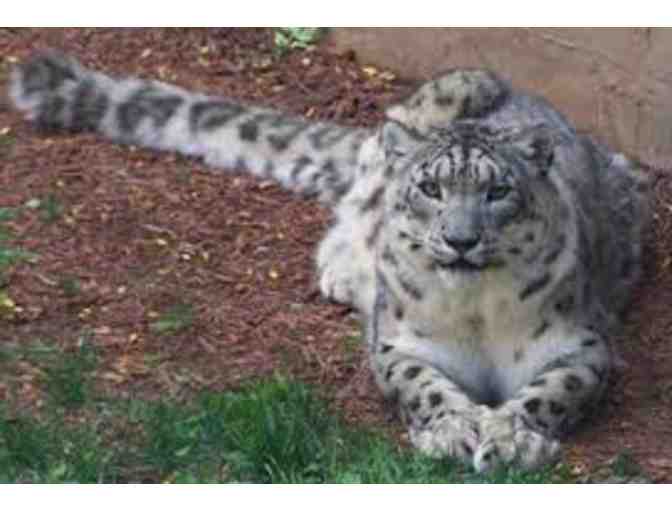 Bowling, the Zoo & More Family Fun!