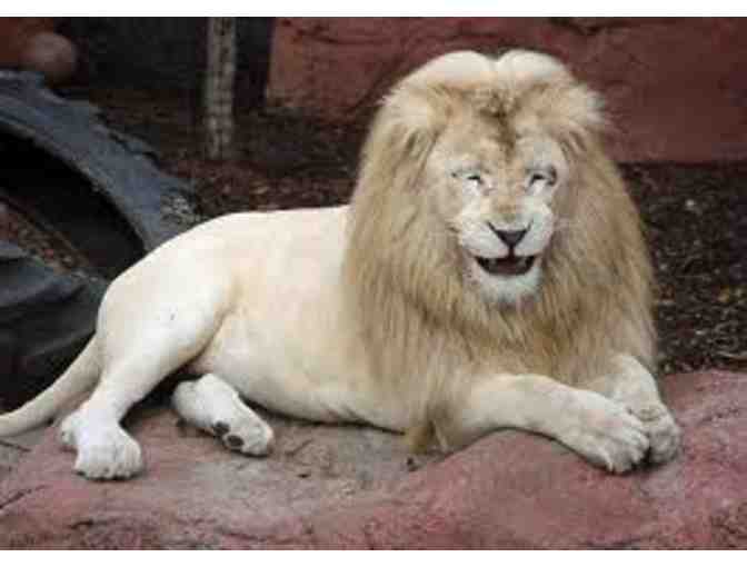 Bowling, the Zoo & More Family Fun!