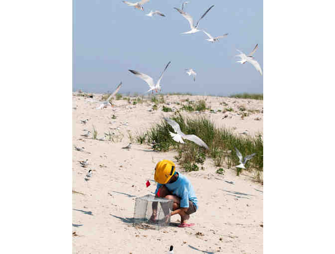 One-Year Family Membership to Mass Audubon!