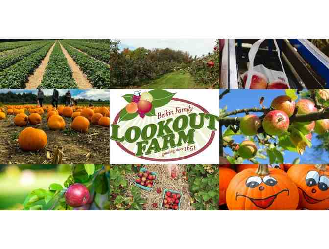 Fun Days with the Kids!