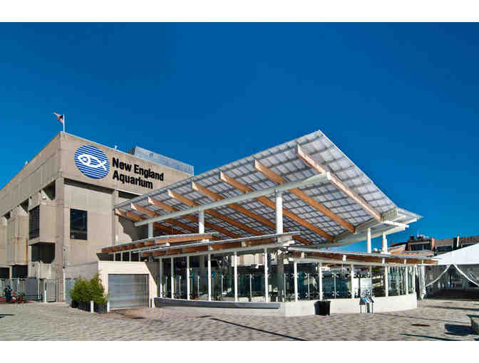 A Visit to the New England Aquarium & Boston Duck Tours!