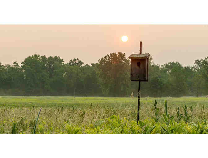 Nature Lovers Family Package