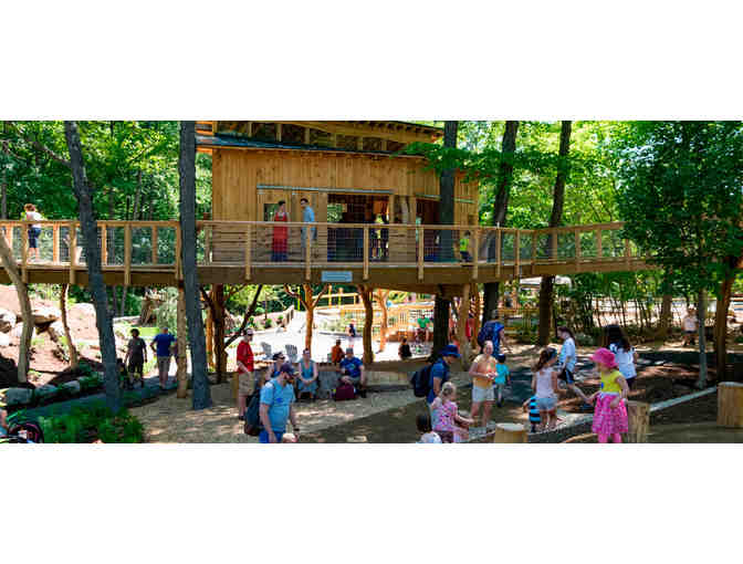 Learn and Play Package!