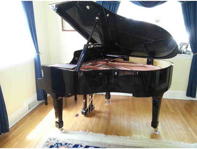 Piano Player in Your Home or Office - Nassau/Suffolk/New York City