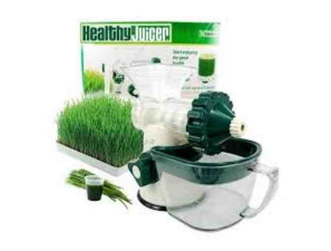 Healthy Juicer