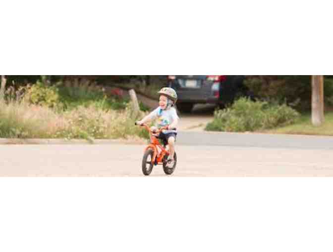 $100 Gift Certificate toward Avid 4 Adventure Day Camp