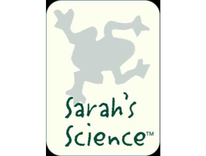 One week of camp for $100 from Sarah's Science