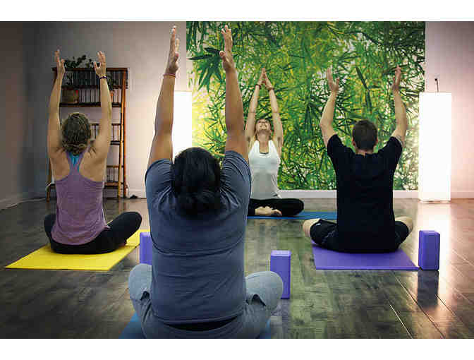 Two weeks of unlimited fitness classes at Bayan Roots