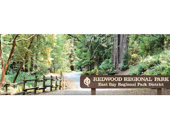 Hike and yummy picnic with Ms. Catalano!