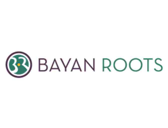 Two weeks of unlimited fitness classes at Bayan Roots