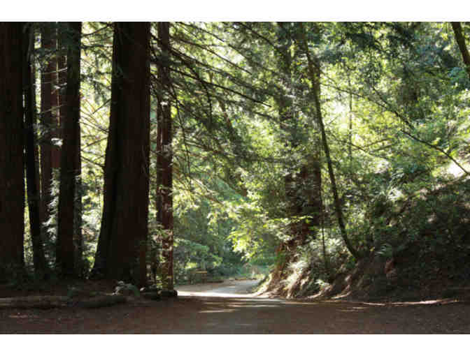 Hike and yummy picnic with Ms. Catalano!