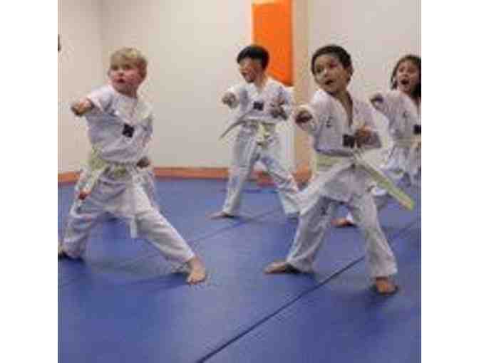 50% off Han Martial Arts Trial Membership
